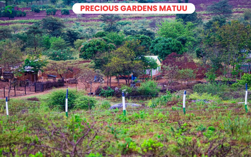 Plots for sale in Matuu - Precious Gardens